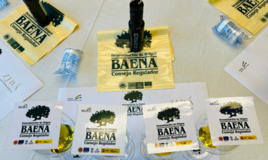 [Formación] Iniciación al análisis sensorial del aceite de oliva virgen, con D.O Baena