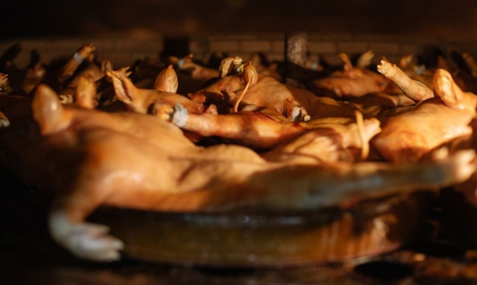 Día Mundial del Turismo 2025: Segovia como referente de turismo sostenible, gastronómico y cultural