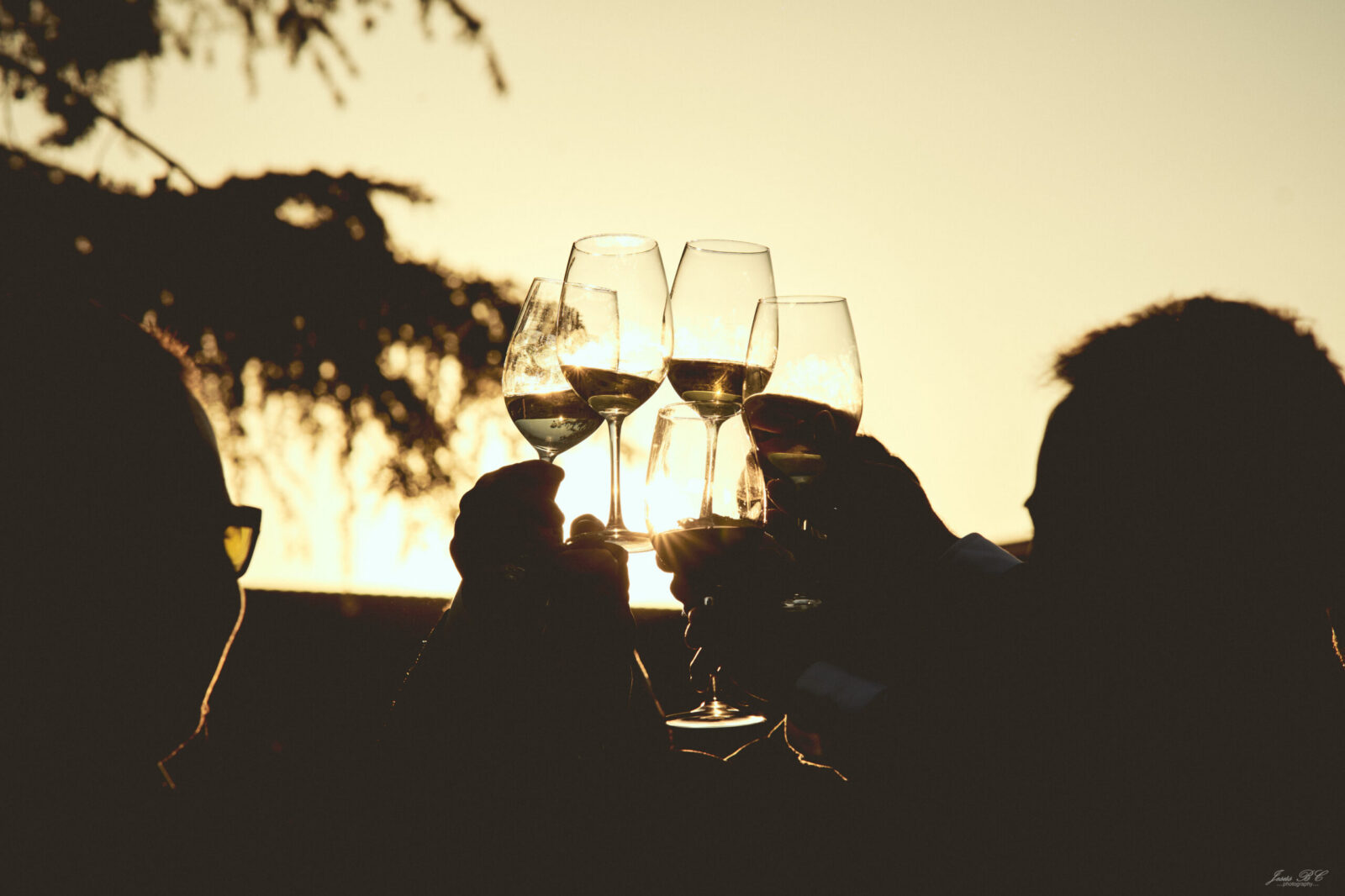 Brindemos juntos: cómo crear una boda que no solo se ve, sino que se siente